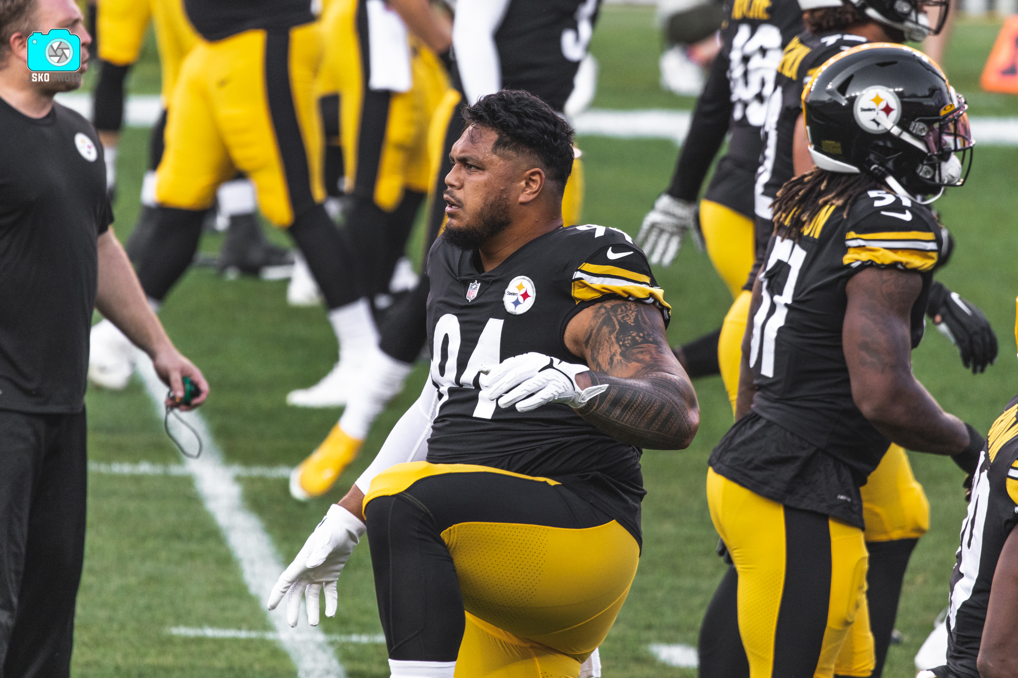 Steelers Tyson Alualu
