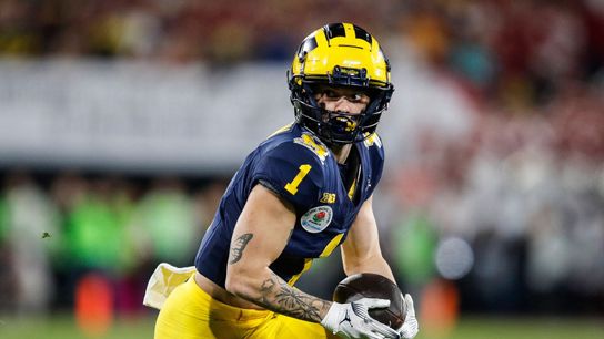 Steelers Roman Wilson Steelers Roman Wilson