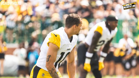 Steelers Roman Wilson