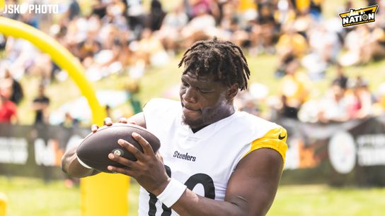 Steelers Darnell Washington Steelers Darnell Washington