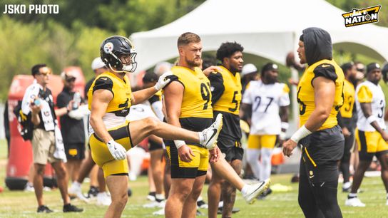 Steelers Defender On Roster Bubble Receives Strong Sense Of Approval From Mike Tomlin (Steelers News)