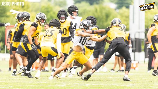 Steelers Roman Wilson Steelers Roman Wilson
