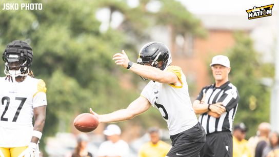 Steelers Cameron Johnston Steelers Cameron Johnston