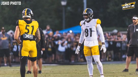 Steelers Jonnu Smith Nick Herbig