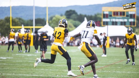 Steelers James Pierre Brandon Johnson