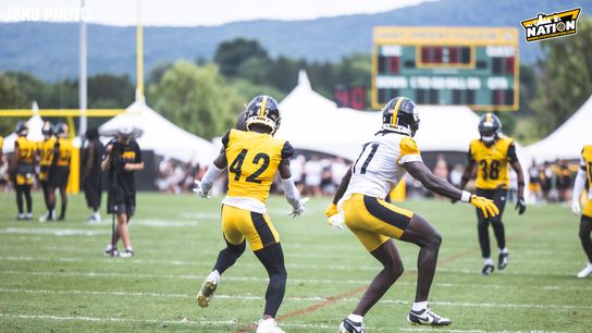 Steelers James Pierre Brandon Johnson