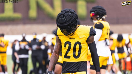 Steelers Patrick Peterson