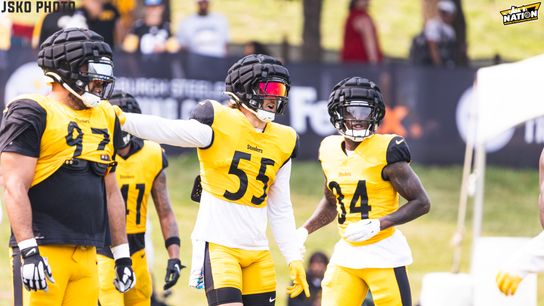 Steelers Cole Holcomb Chandon Sullivan