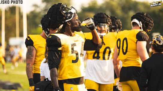 Steelers Markus Golden