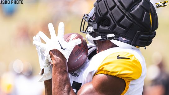 Steelers Rodney Williams