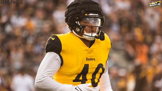 Steelers David Perales