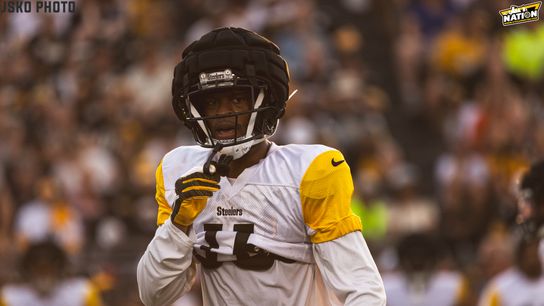 Steelers Allen Robinson II