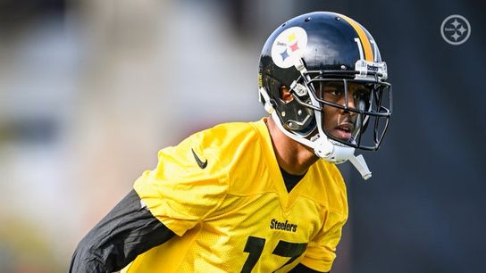 Steelers William Jackson III Steelers William Jackson III