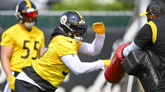 Steelers Elandon Roberts Cole Holcomb Steelers Elandon Roberts Cole Holcomb