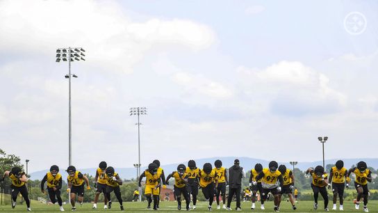 Steelers defense Steelers defense