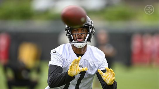 Steelers Allen Robinson Steelers Allen Robinson