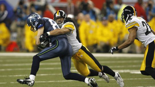 Steelers' Troy Polamalu Steelers' Troy Polamalu