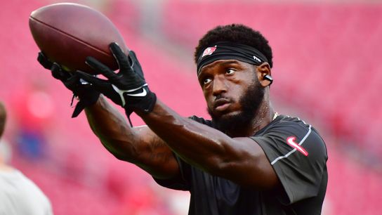 Steelers Were At The Forefront For Big Play Receiver During Free Agency But His Wife Stepped In (Steelers News)