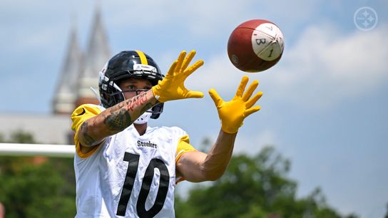 Steelers' Roman Wilson Steelers' Roman Wilson