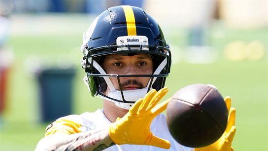 Steelers' Roman Wilson Facing Challenge Head On (Steelers News)