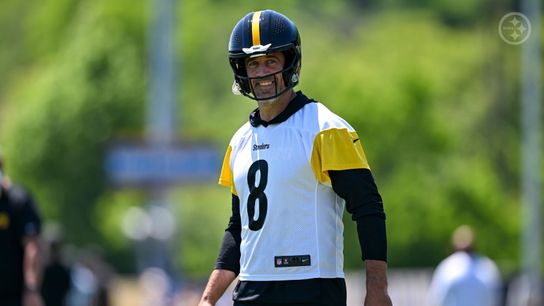 Steelers Aaron Rodgers Steelers Aaron Rodgers