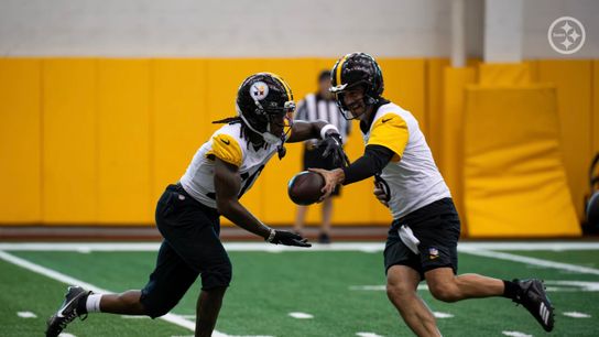 ESPN: Bizarre Decision From The Steelers Warrants Low Expectations During The 2026 Season (Steelers News)
