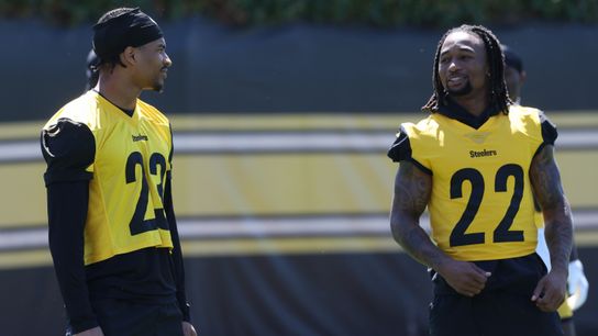 Steelers Insider Claims Organization Will Aggressively Keep "Lovely" Cornerback Room Deep (Steelers News)