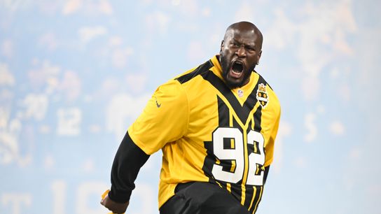 Steelers' Feud Continues As James Harrison Fired More Shots At Former Head Coach Mike Tomlin (Steelers News)