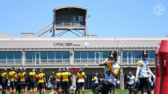 Steelers' New Coaching Staff Seems To Already Have Made A Decision On Roman Wilson (Steelers News)