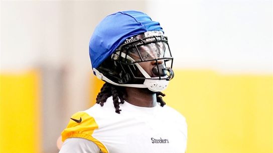 Steelers Brandon Johnson Steelers Brandon Johnson