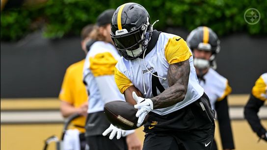 Antonio Brown Gives Steelers Fans Bold Prediction About DK Metcalf (Steelers News)