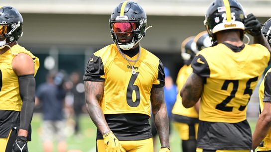 Steelers Defenders Patrick Queen And DeShon Elliott Try To Recruit New Free Agent For 2025 (Steelers News)