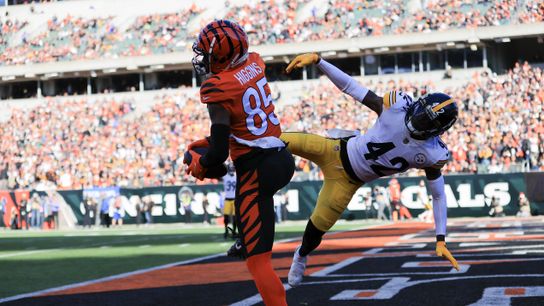Steelers' James Pierre vs Tee Higgins
