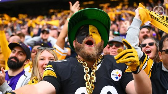 Steelers superfan, Vincent Murray, celebrating a big play during the Steelers' 24-21 win over the Minnesota Vikings at Croke Park in Dublin, Ireland.