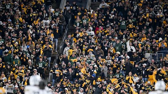 Steelers fans during a regular season game between the Pittsburgh Steelers and Green Bay Packers.
