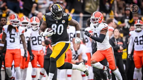 Steelers tight end Darnell Washington (80) in a regular season game against the Cleveland Browns. Steelers tight end Darnell Washington (80) in a regular season game against the Cleveland Browns.