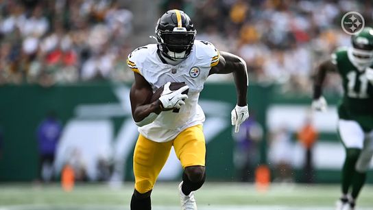 New Steelers Receiver Receives Glowing Praise From Teammates (Steelers News)