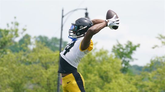 George Pickens makes an acrobatic catch during Steelers training camp in Latrobe in 2024 George Pickens makes an acrobatic catch during Steelers training camp in Latrobe in 2024