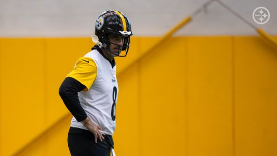 Steelers Aaron Rodgers Steelers Aaron Rodgers
