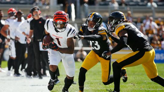 Loss #2 To The Bengals? Vegas Says Yes (Betting)