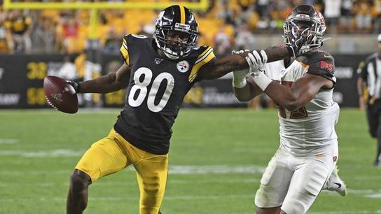 Steelers Add Receiver to 53 (Steelers News)