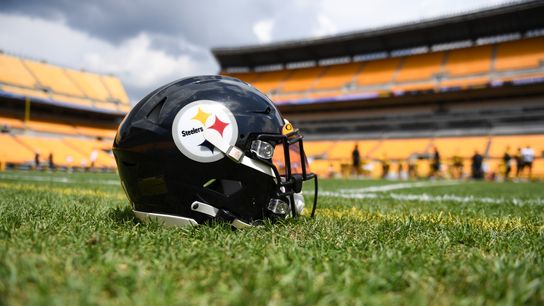 Steelers Announce 14  Players to The 2020 Practice Squad (Steelers News)