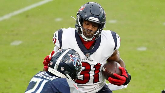 Steelers David Johnson