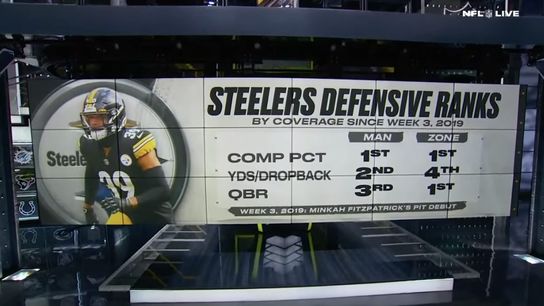 Steelers Minkah Fitzpatrick