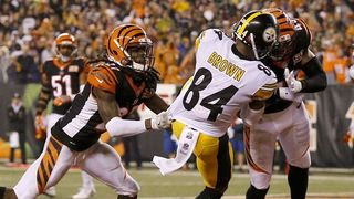 A Look Back at the Magical 2015 Season (Steeler Blog Posts)