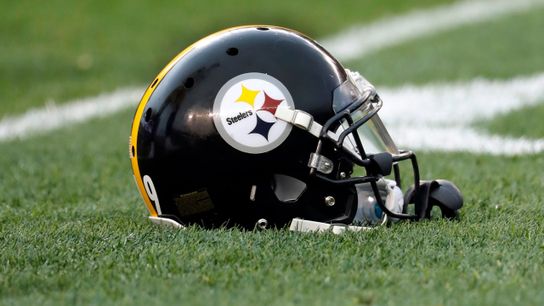 Report: A dozen players participate in workouts at Steelers Facility (Off-Season News)