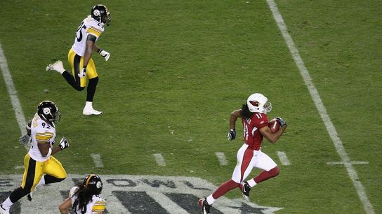 Steelers Troy Polamalu