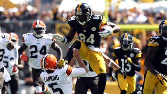 Steelers wide receiver Antonio Brown kicks Browns punter Spencer Lanning in the face in the 2014 home opening win