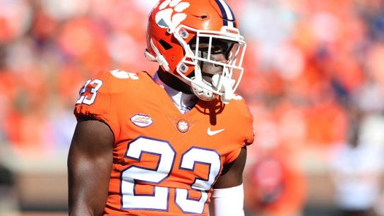 Steelers Andrew Booth Jr.