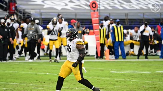 Steelers Inactives at Cincinnati (Steelers Inactives)